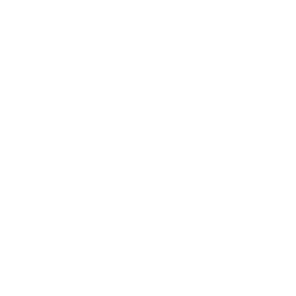 NMSDC Certified MBE